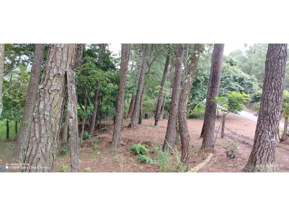 Oportunidad de Inversión - Chiriquí/Investment Opportunity in Chiriqui - 1