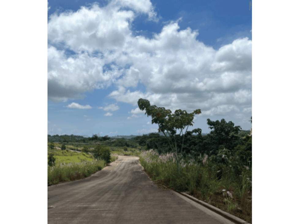 Terrenos en Venta Proyecto Green Valley - 1