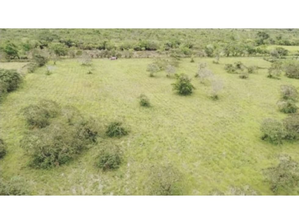Se Vende terreno en Chiriquí (RSdeR-D) - 1