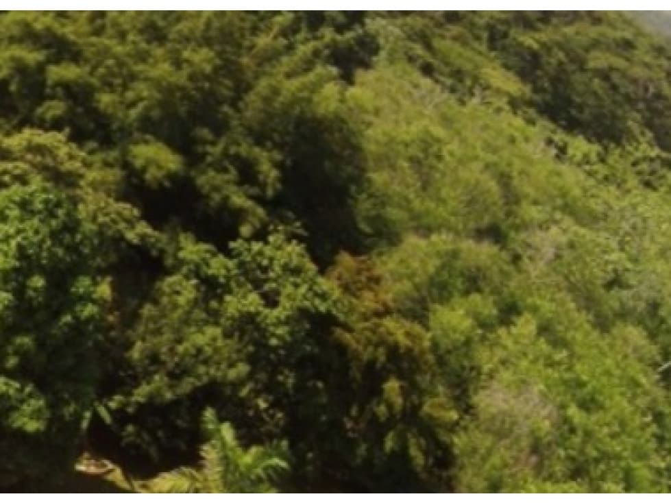 Venta de terreno en Bágala, Chiriquí - 1