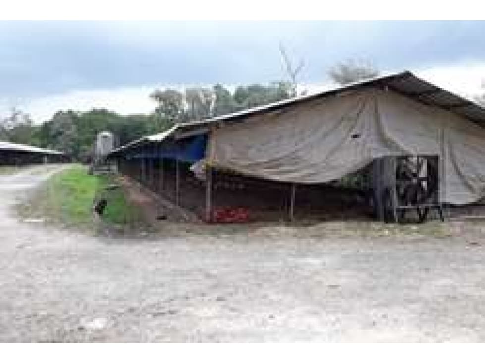 Se vende lote de terreno en Colón - 1