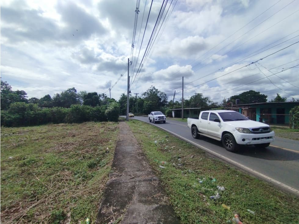 Se vende o alquila terreno en Villalobos, Pedregal - 1