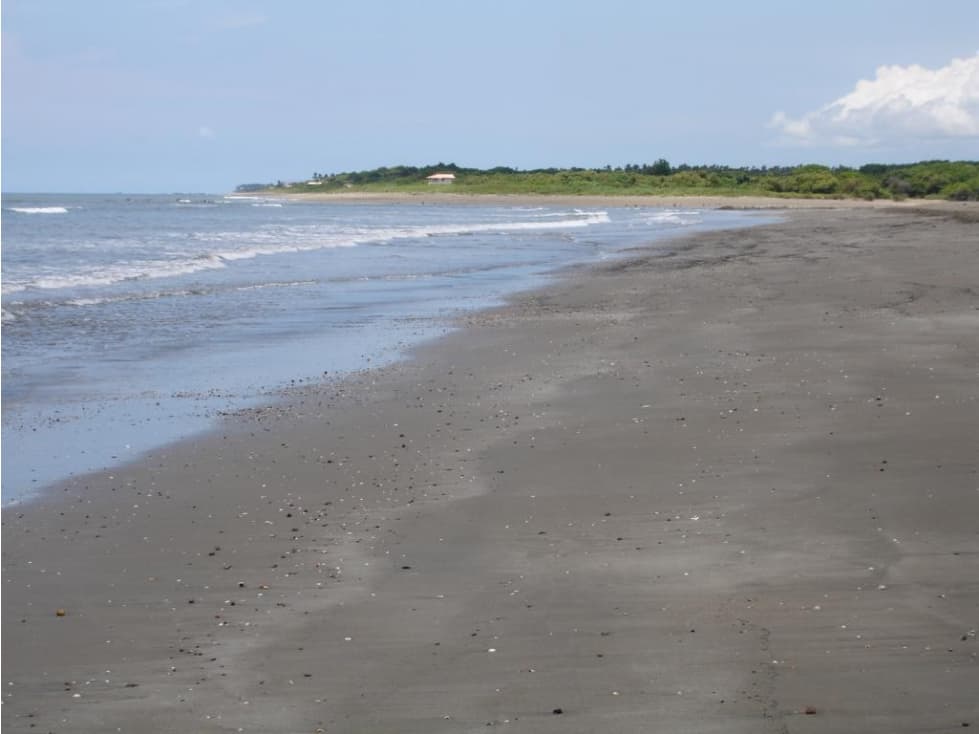 Venta: 3 lotes adyacentes con frente de playa en Las Tablas - 1