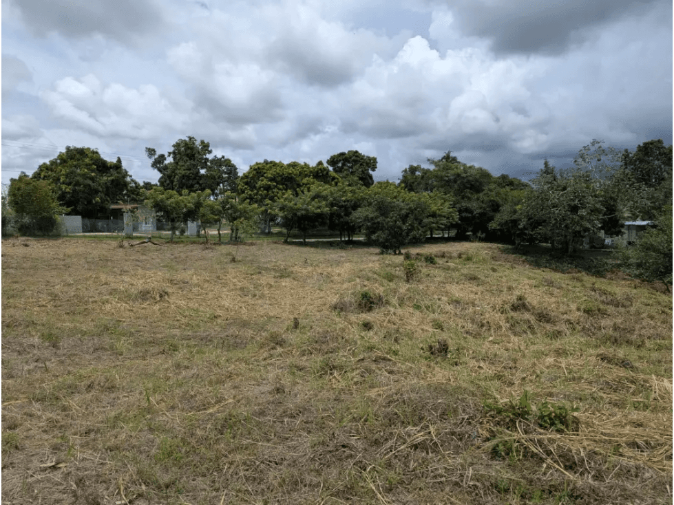 GANGA / RIO HATO / TERRENO / 3400M / PUNTO ALTO / PLAYA - 1