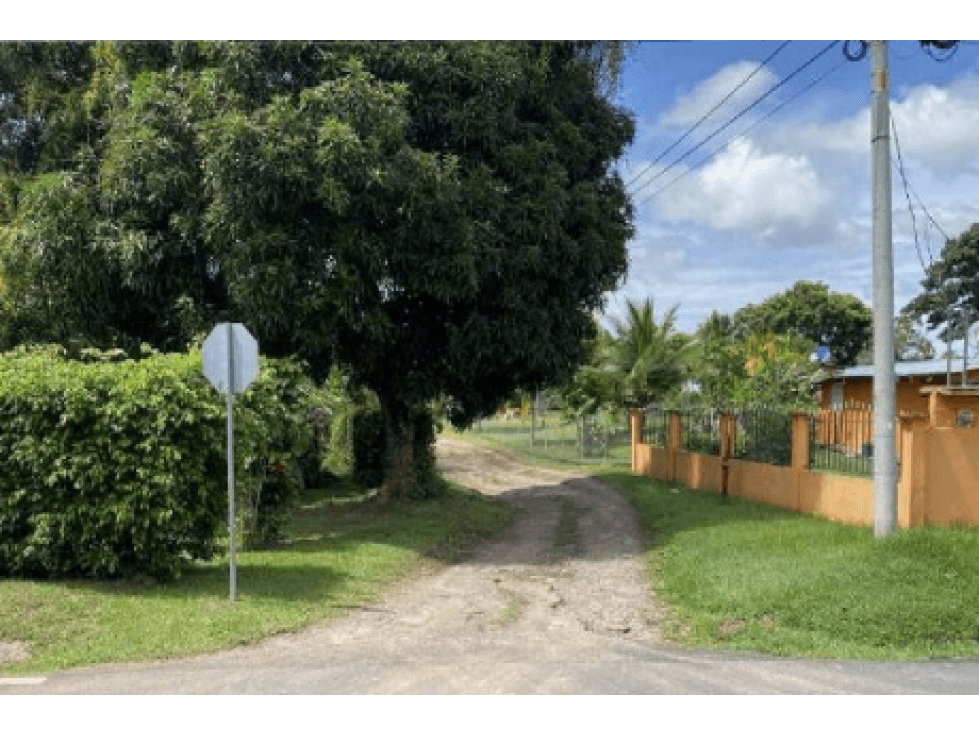 COCLE / LAS GUIAS / 40 HECTAREAS / USO COMERCIAL / SOBRE LA VIA / AG - 1