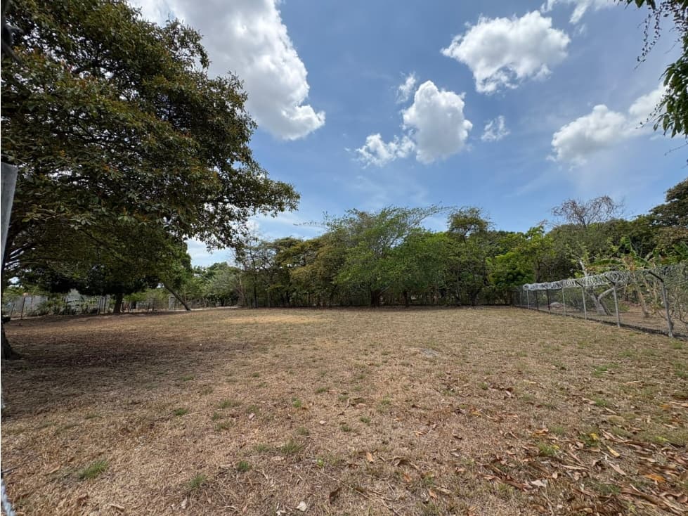 COCLE / RIO HATO / 1184M / TOTALMENTE PLANO / IDEAL PARA DESARROLLO - 1