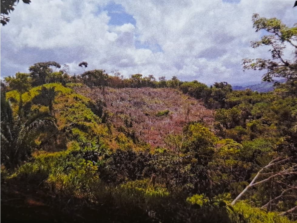 Terreno en Venta en Colón, Sector Nuevo San Juan, B. Vista y Sta Rosa. - 1