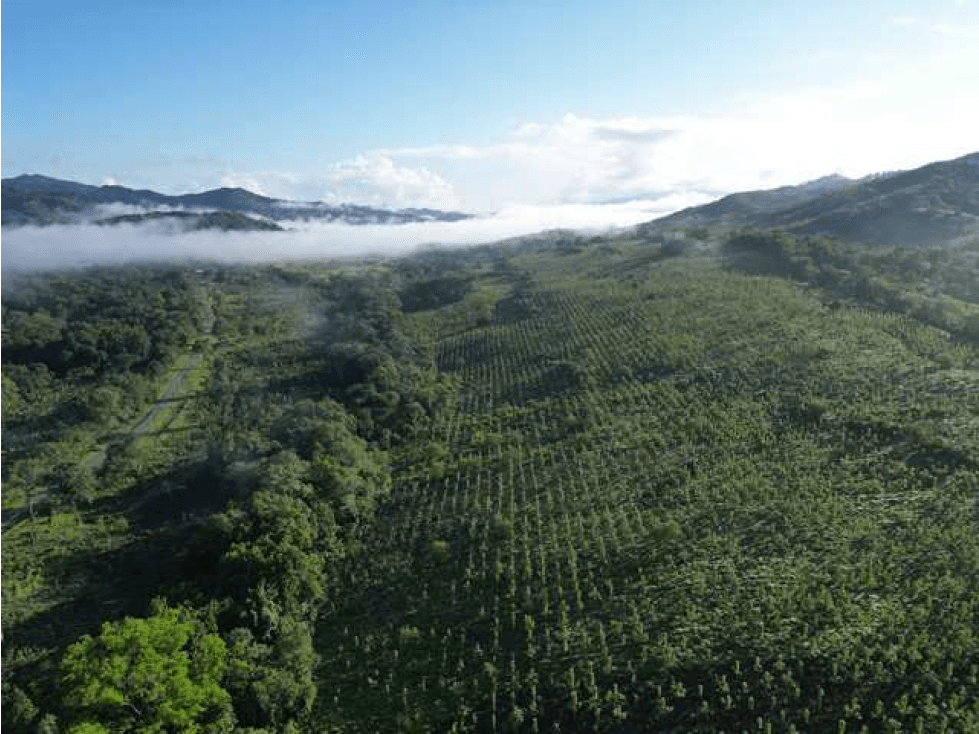 Terreno en Venta en Colón, San juan, Sector Sardinilla. SD - 1