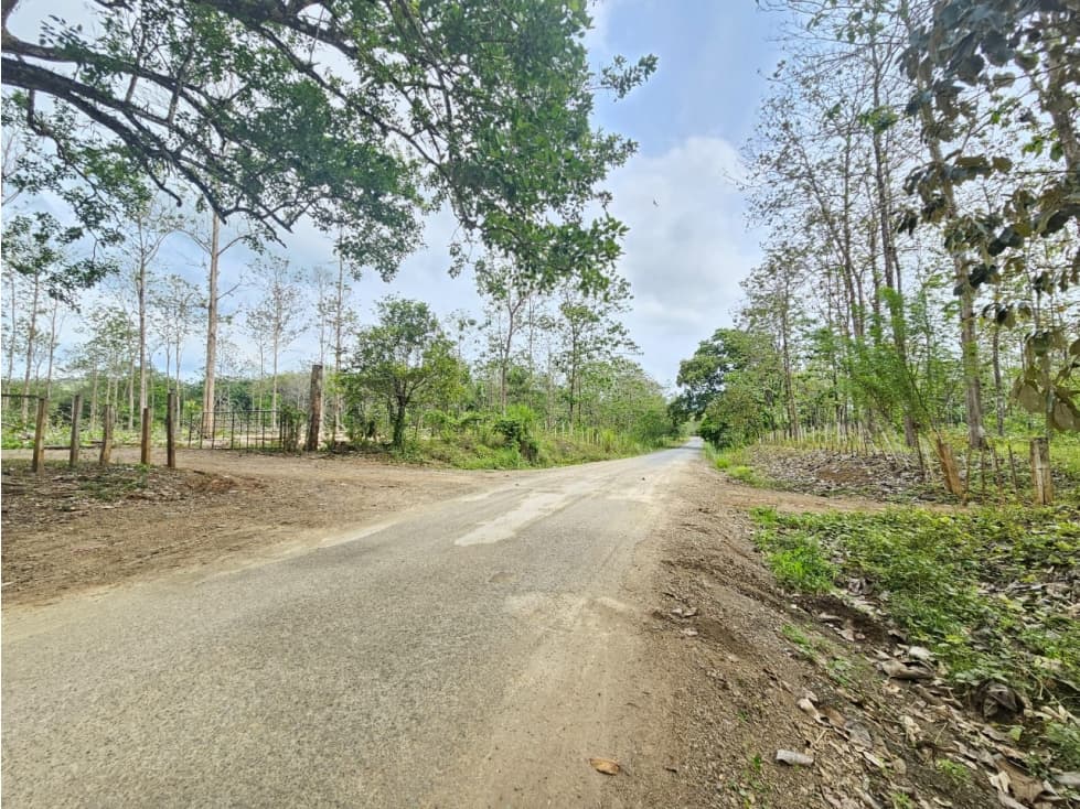 Terreno en Venta en Colón, Vía Gatuncillo, Salamanca. SD - 1