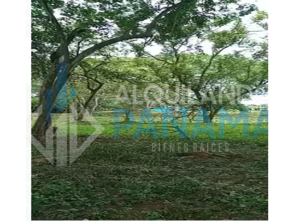 Se Vende Magnifico Terreno 42.000 Mts2 Chitré Herrera $11.000.000.00 - 1