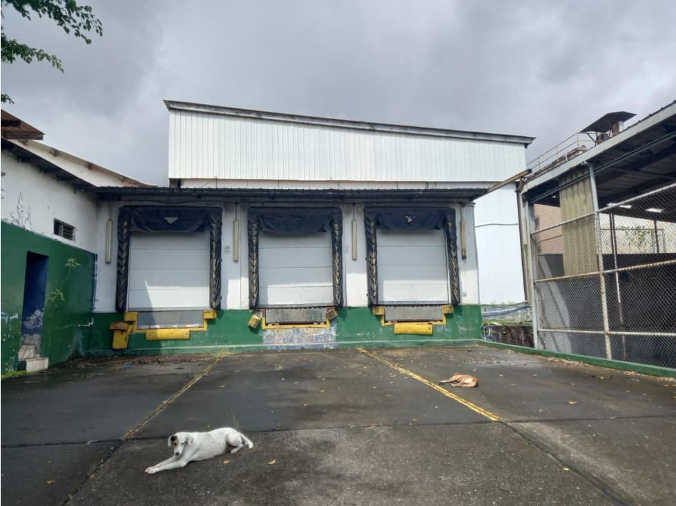 Se Alquila Galera Cuarto Frio 974 Mts USD$8,22xMt2 - 1