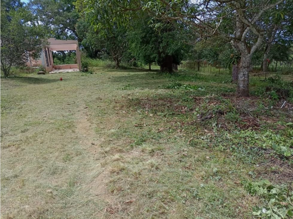 Venta de Terreno en Algarrobos - 1