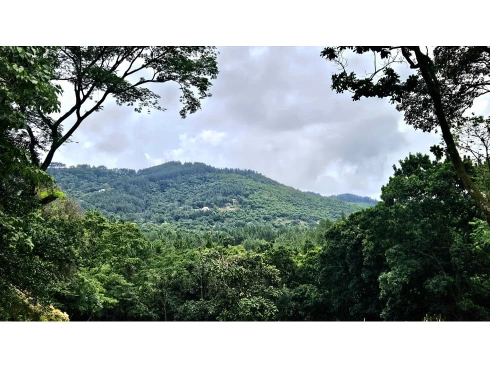 VENDO TERRENO EN ALTOS DEL MARIA - CHAME $77.100!!! - 1