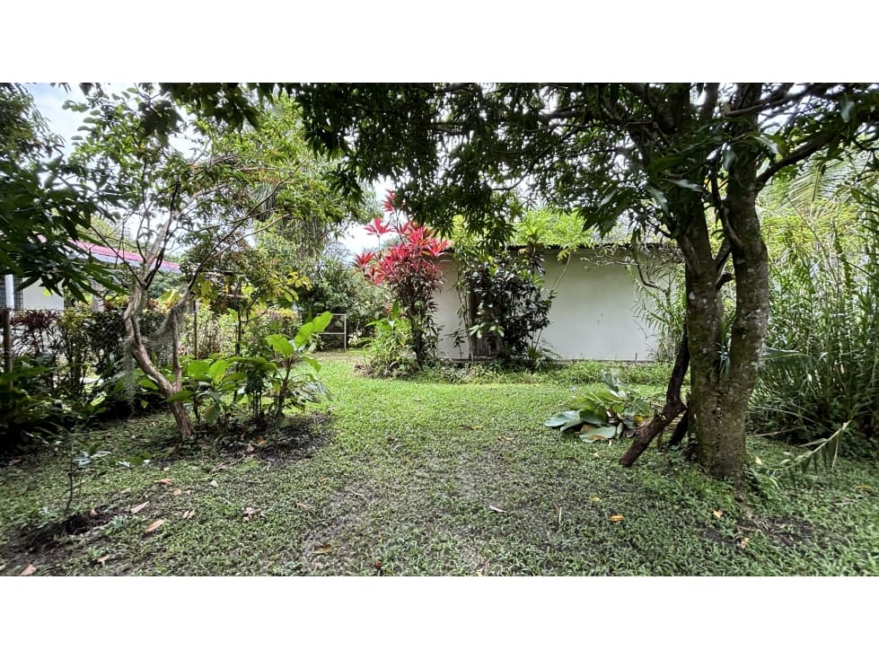 TERRENO EN EL VALLE DE ANTON - 1