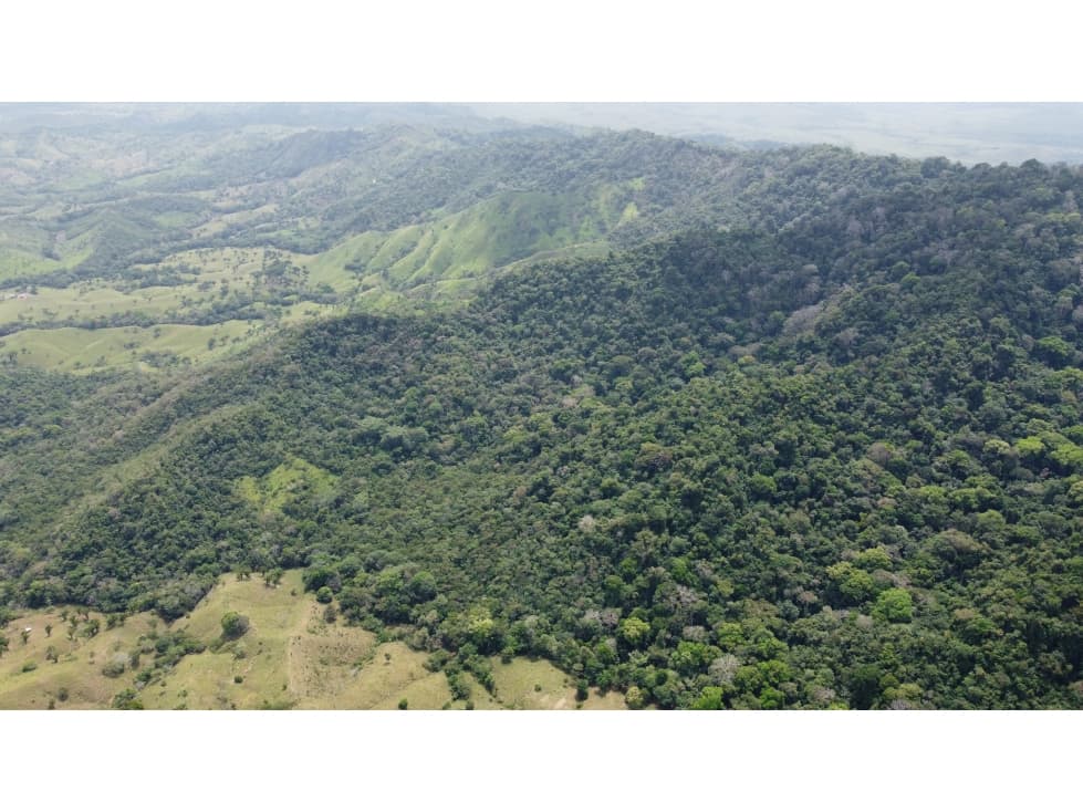Venta de finca en Santa Fé Cucunati Darien - 1
