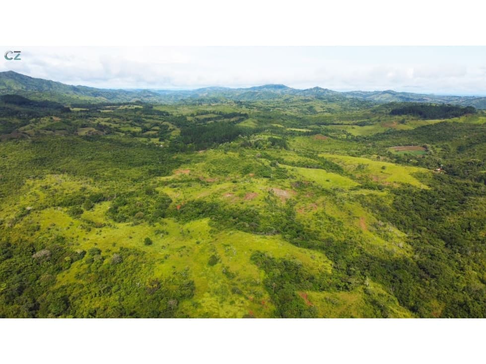 Venta de finca en las Minas Herrera - 1