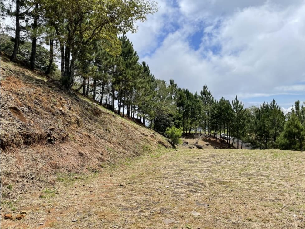 SE VENDE TERRENO EN ALTOS DEL MARIA POR BUENA VISTA 3828 M2 - 1