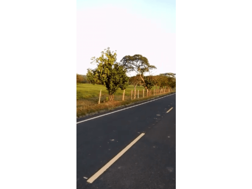 VENDO 800 HECTAREAS EN SONÁ, PRECIO NEGOCIABLE satiago - 1