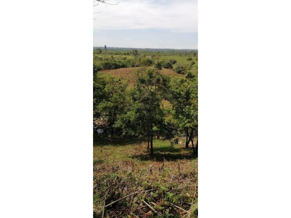 VENDO CUATRO HECTAREAS CON AGUA VIVA EN BOQUERON - 1