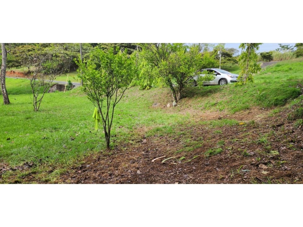 LOTES EN VENTA TOTAL DE 1000M2 EN PACORA UTIVE - 1