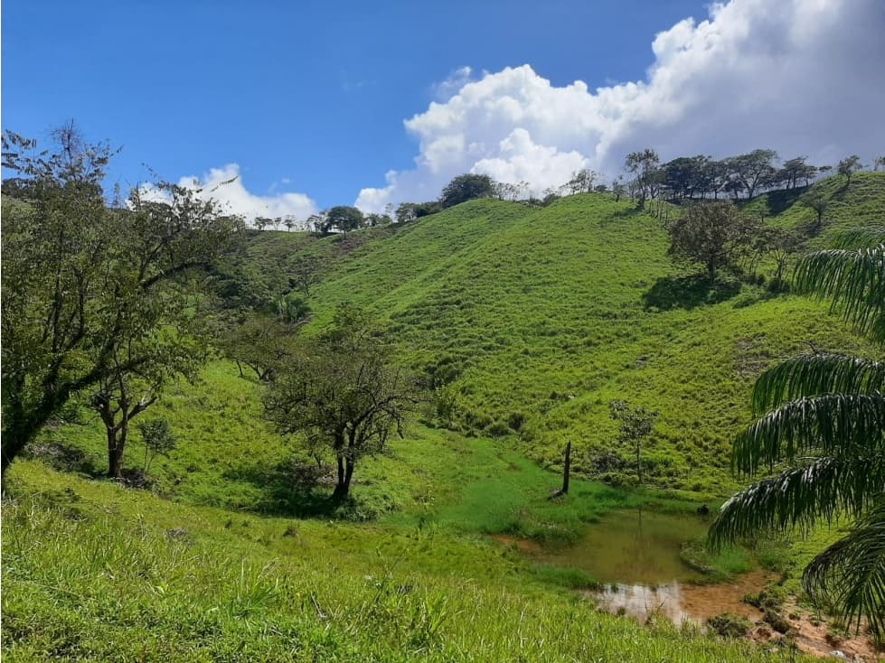 VENTA DE LOTE EN VERAGUAS - MARIATO - 1