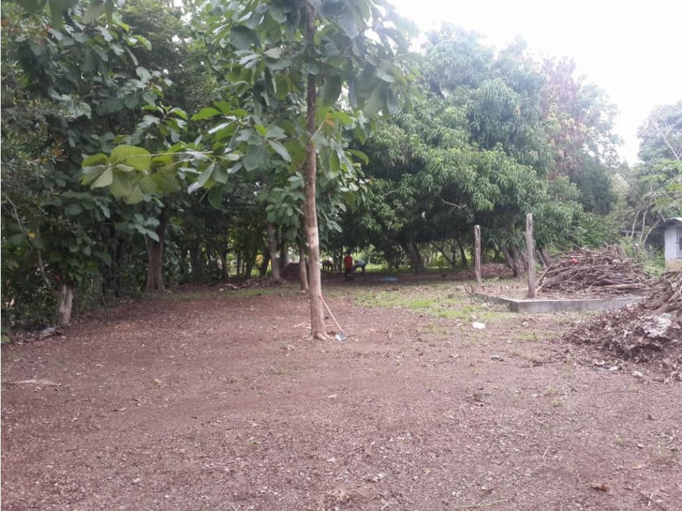 TERRENO EN BEJUCO DE 1460m2 - 1