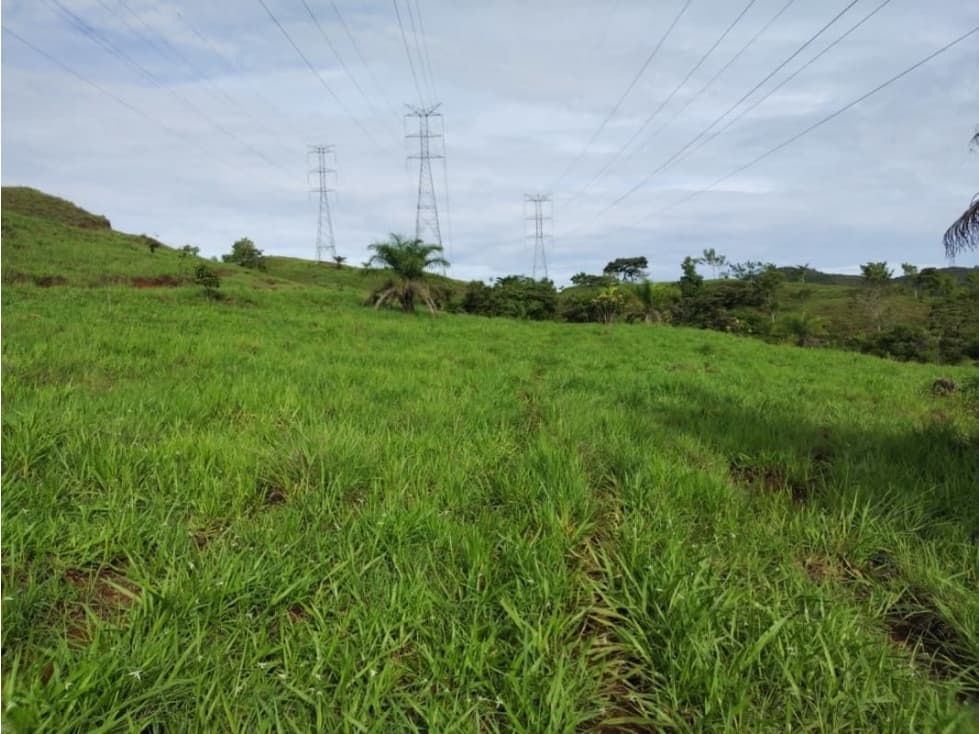 VENTA DE TERRENO EN VERAGUAS PARA GANADERIA - 1