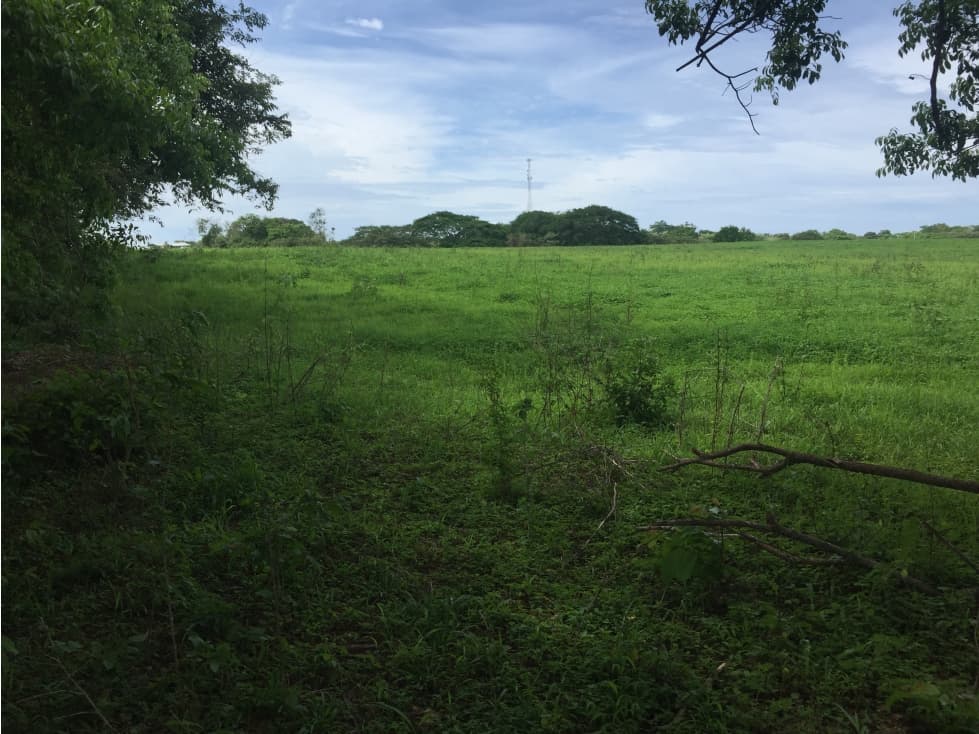 VENDO TERRENO DE 9.5 HECTARES EN GUARARE, LOS SANTOS - 1