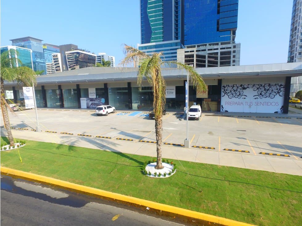 LOCAL 260 MTS Y 520 MTS PLAZA CENTRO MALL - 1