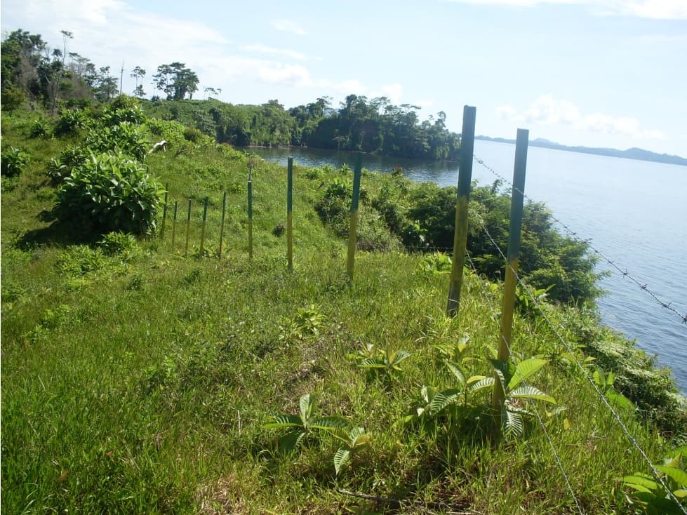 vendo isla de la fantasia Panama - 1