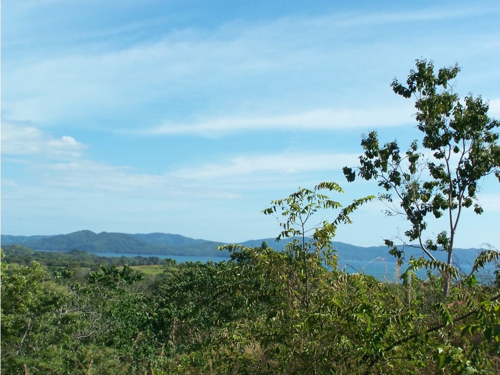 TERRENO A LA VENTA EN SANTA CATALINA VERAGUAS - 1