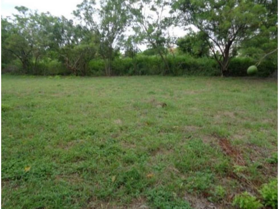 VENDO TERRENO EN CHAME, NUEVA GORGONA A 200 MTS DEL MAR (2) - 1