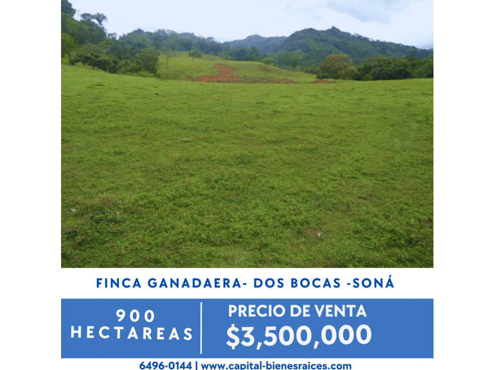 SE VENDE FINCA GANADERA EN DOS BOCAS - SONÁ - 1