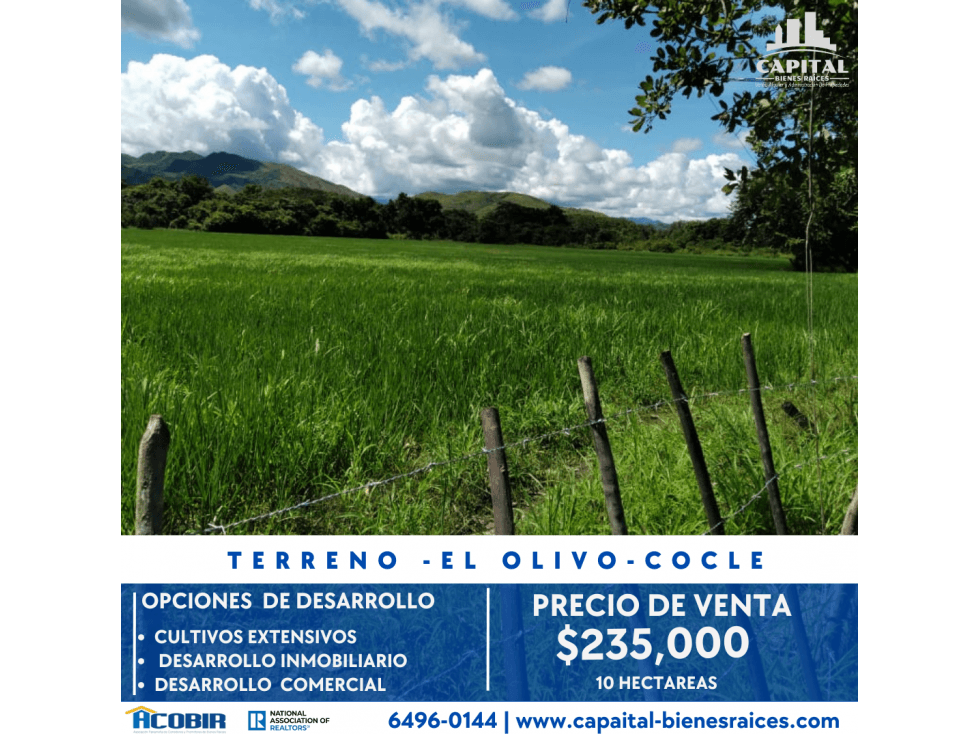 TERRENO-EL OLIVO DEL CAÑO DE NATA COCLE - 1