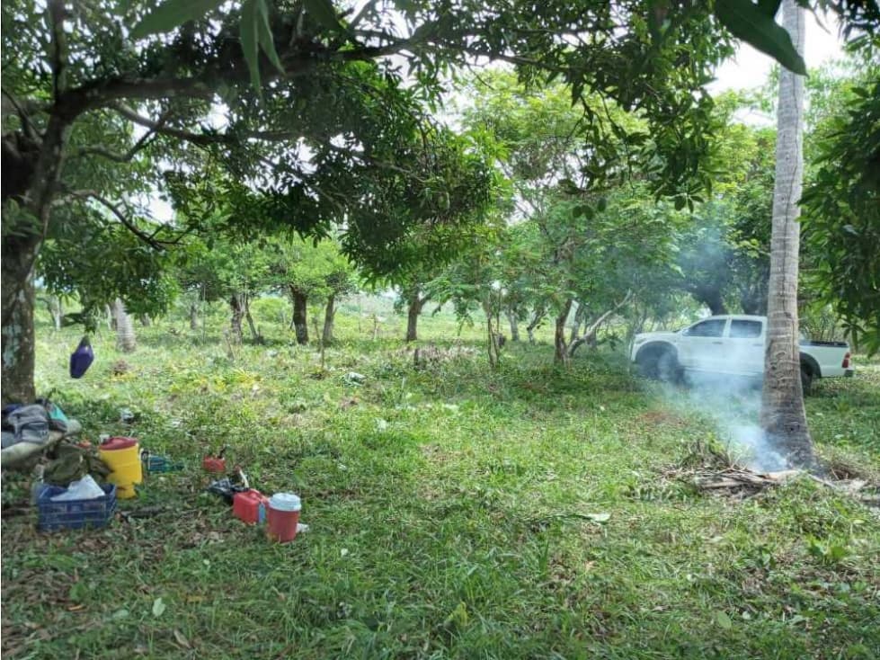 20 HECTAREAS DE TERRENO A POCOS MINUTOS DEL VALLE DE ANTÓN - 1