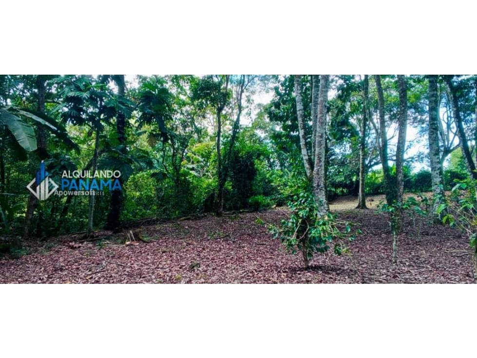 En venta hermosa finca con casa incluida, para proyecto turístico/agro - 1