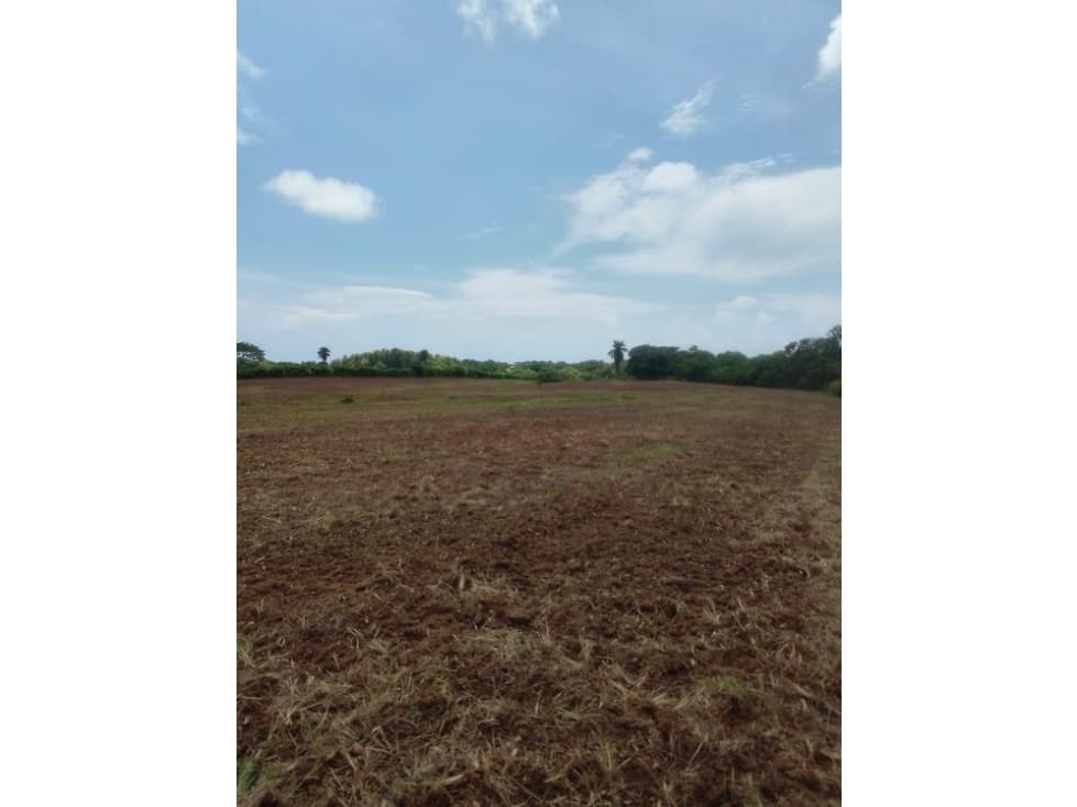 Hermoso terreno ideal para agricultura o ganadería. Prov Los Santos - 1