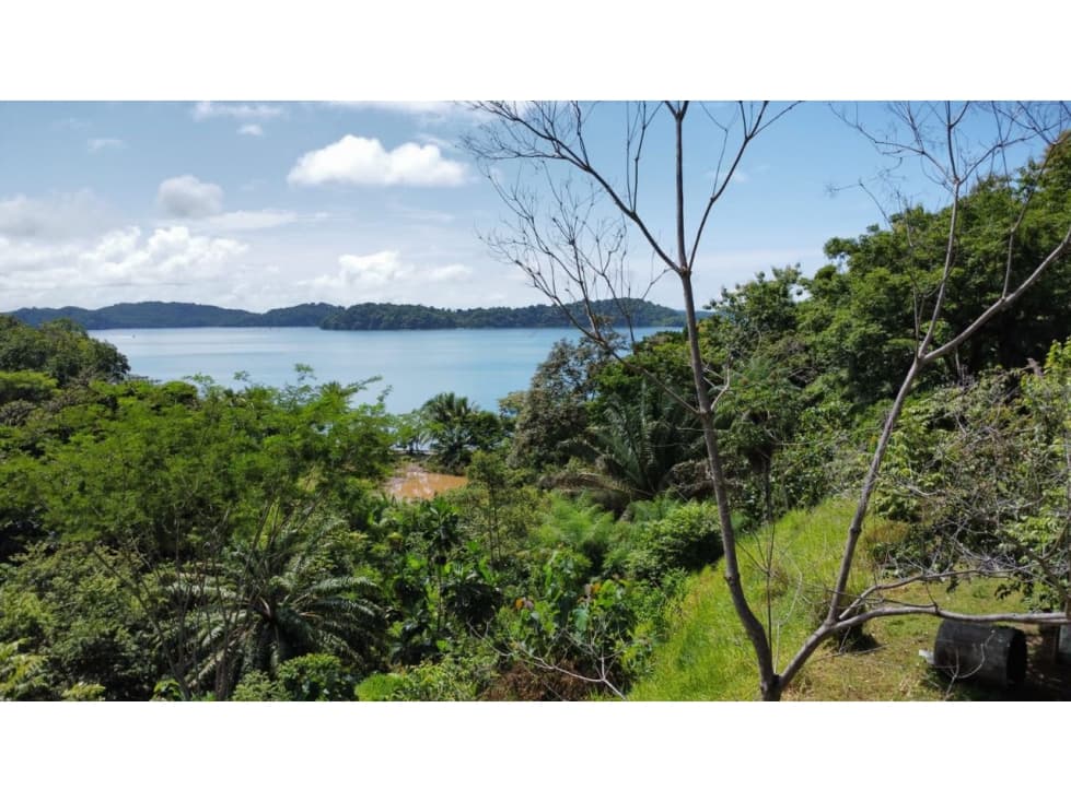 Lote Con Vista al Mar en Boca Brava - 1.4H - 1