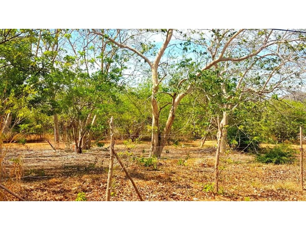 LOTE EN ÁREA DE PLAYA - 1
