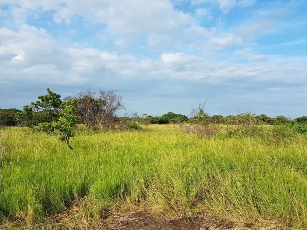 SE VENDE FINCA EN RIO HATO PUNTA CHAME - 4442DA - 1
