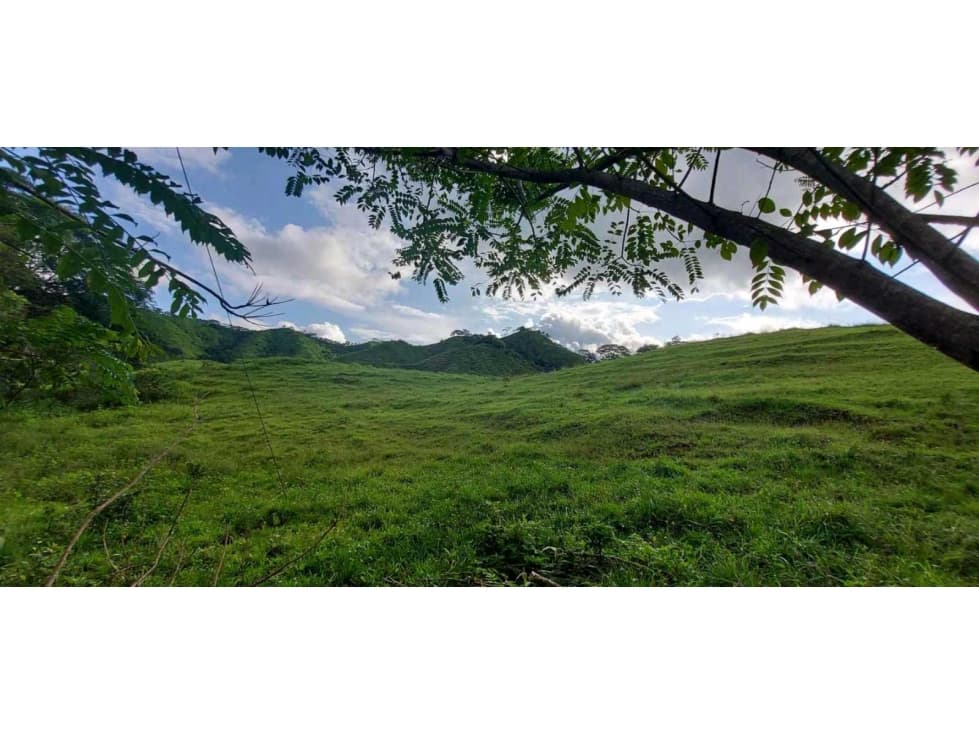 SE VENDE FINCA GANADERA EN LAS TABLAS - 1