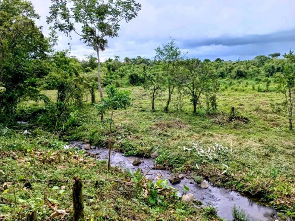 Se vende hermosa finca de 4.2 hectáreas en Meseta, Boquerón - 1