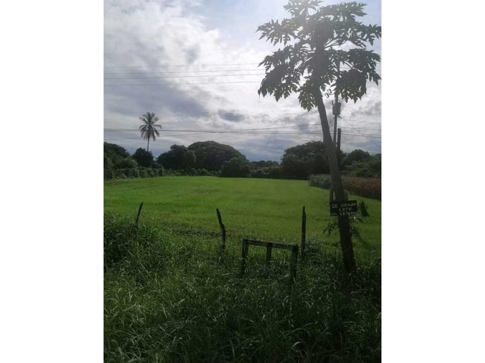 Se vende lote carretera nacional via Las Tablas - Los Santos - 1