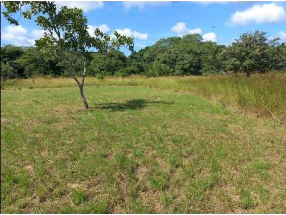 Se vende lote en La Pintada Penonomé Coclé - 1