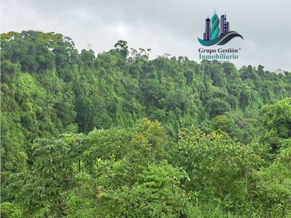 VENDO 1HA +6000M2 PARAISO - 1