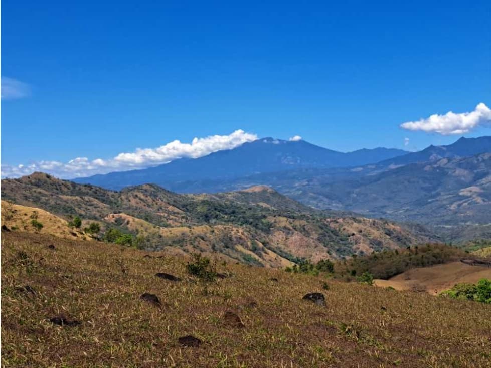 VENDO FINCA DE 39 HECTAREAS EN REMATE EN GUALACA - 1