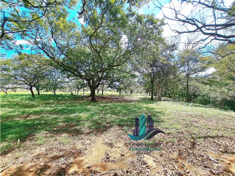 VENDO 40 HECTAREAS PLANAS CON RIO SAN LORENZO - 1