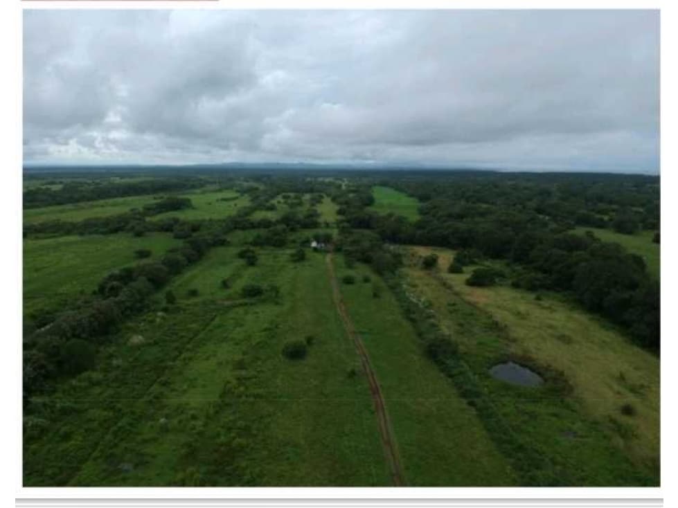 VENDO FINCA 1110HA 95% TOPOGRAFIA -Plana - 1