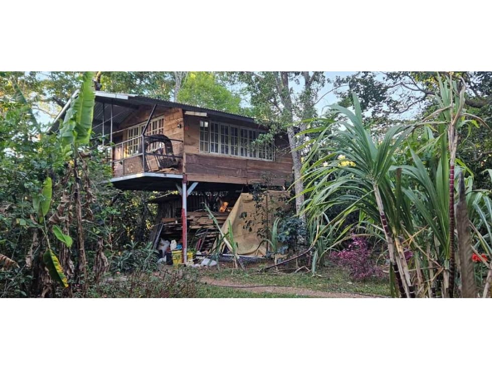 VENDO FINCA 1 HAS EN BOQUETE PALMIRA - 1