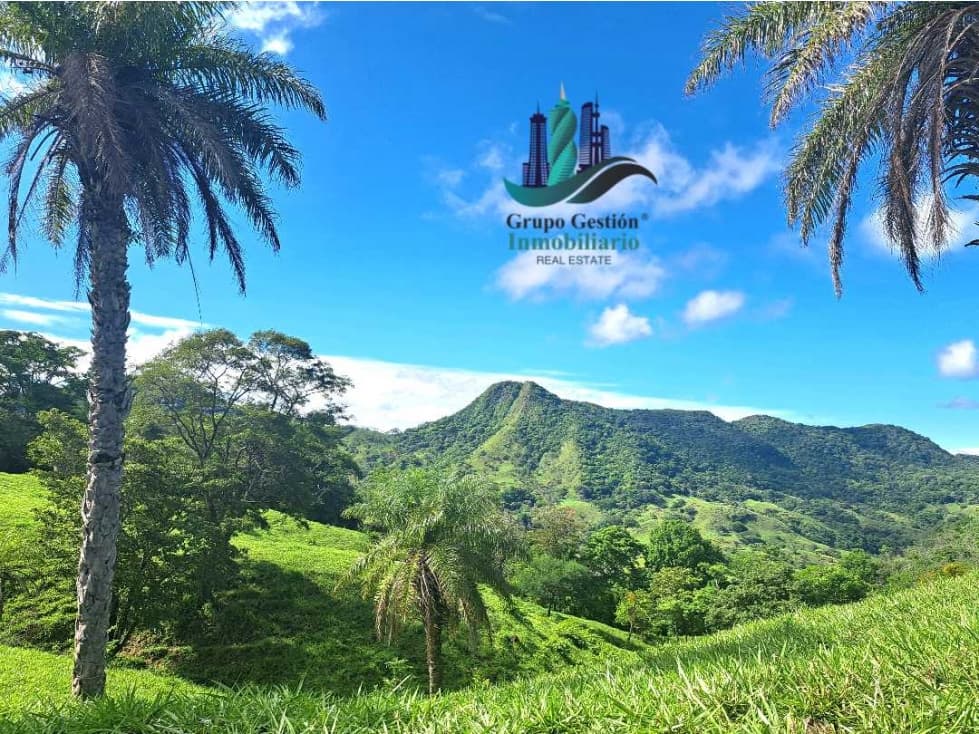 VENDO FINCA 205 HECTAREAS EOLICAS - 1